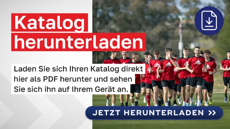 catalog_download_button